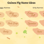120 Guinea Pig Names for Your Unique Pet