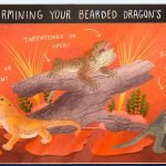Bearded Dragon Behaviors