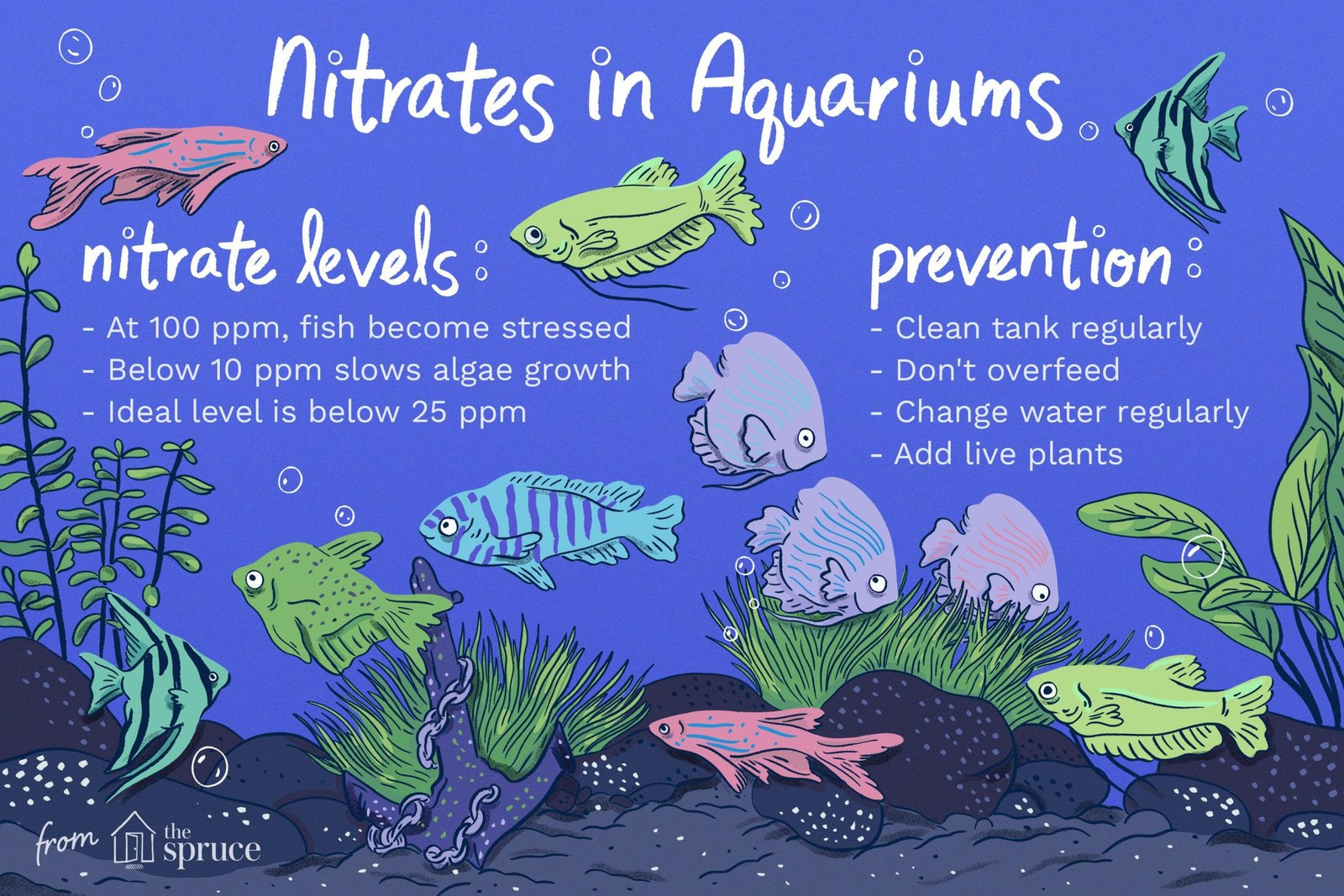 How to Quickly Reduce Nitrate in a Fish Tank