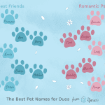 Name Ideas for Pairs of Pets