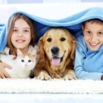 What are Some of the Advantages And Disadvantages of Having a Pet