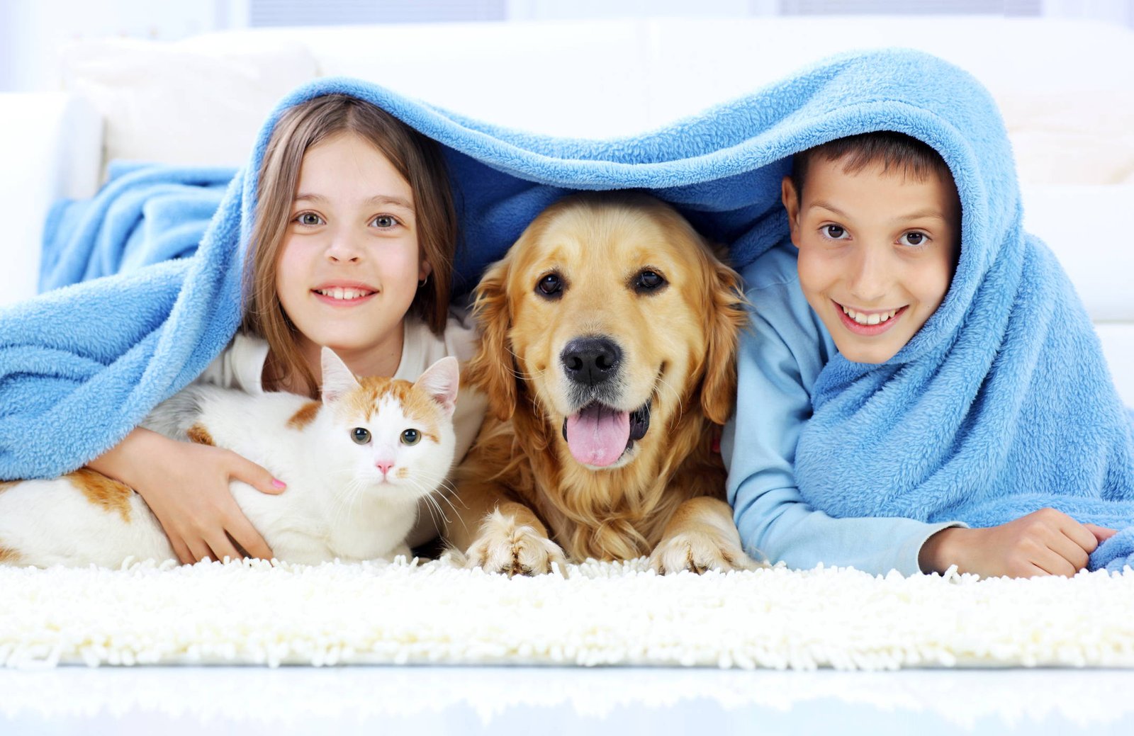 What are Some of the Advantages And Disadvantages of Having a Pet