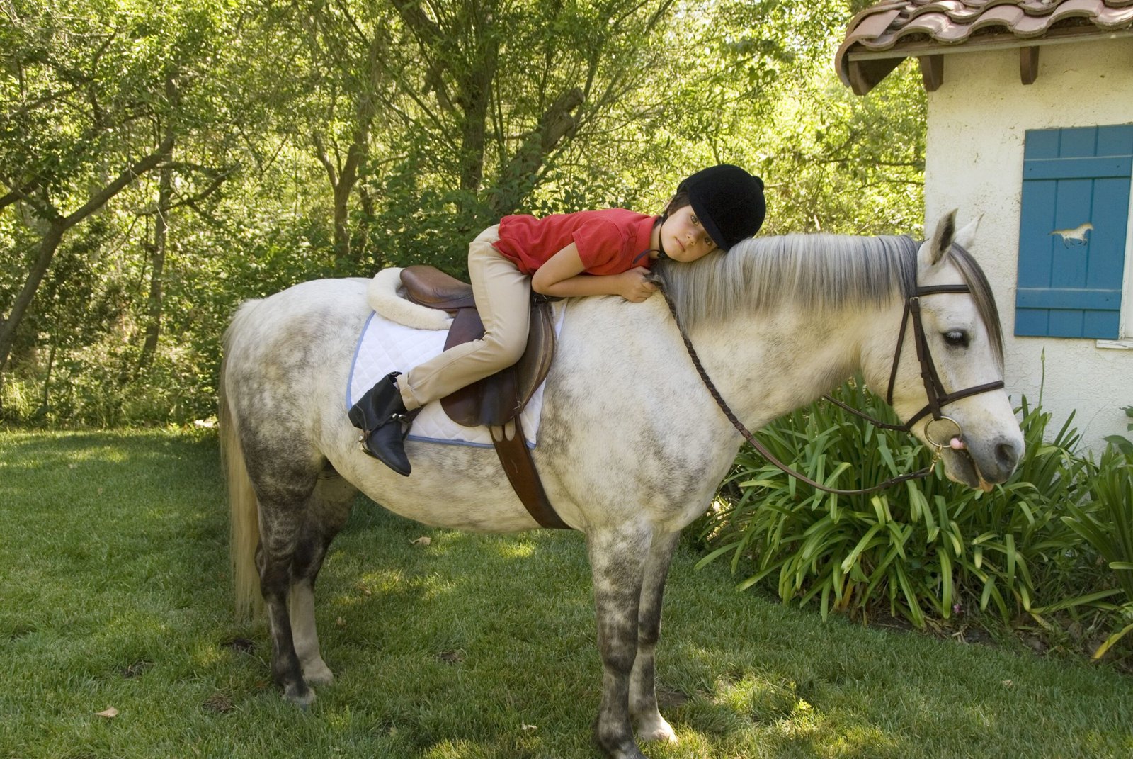 10 Best Horse And Pony Breeds for Kids