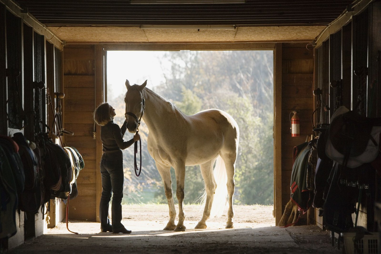Determining What It May Cost to Board Your Horse