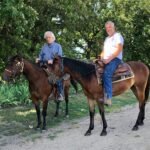 How Much Should You Ride an Older Horse?