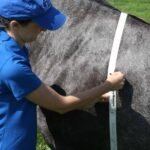 How to Measure a Horse'S Weight