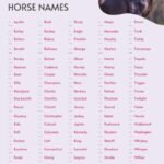 Names for Geldings And Stallions