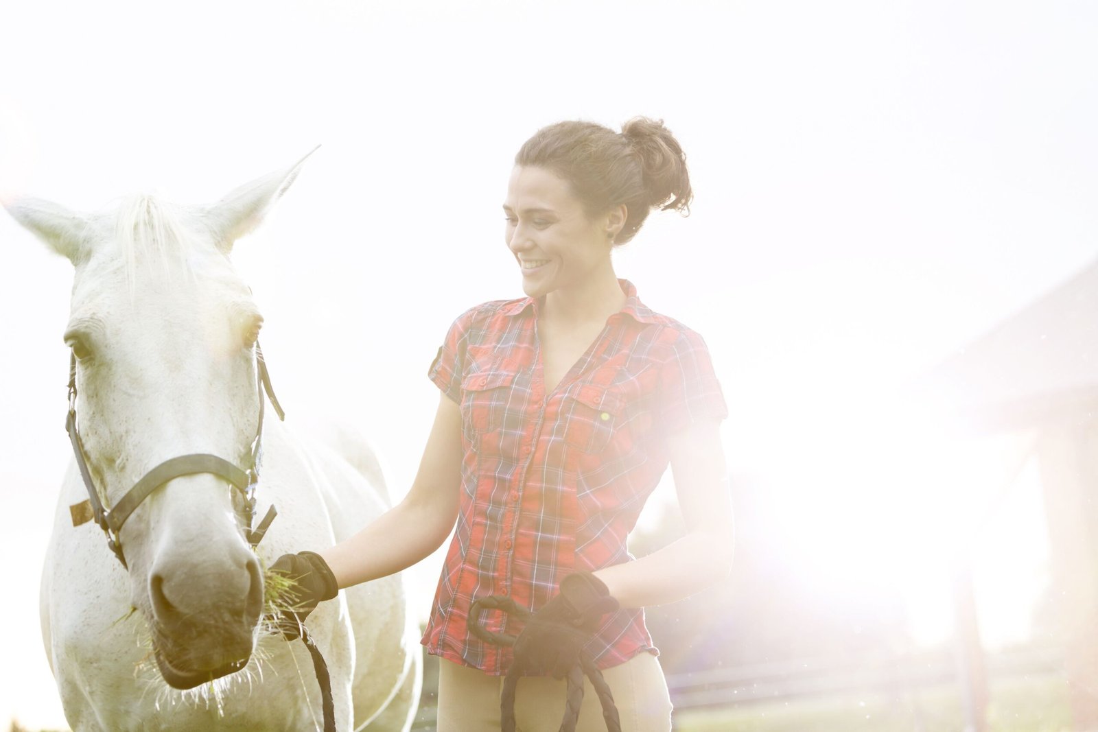 Rules for Working Safely With Horses