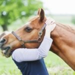 What Does a Horse Chiropractor Do?