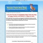 How to Housetrain Any Dog