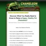 Chameleon Care Guide - Keeping and Breeding Healthy Chameleons Made Easy!