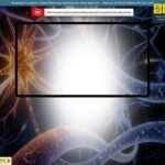 Millionaire’s Brain Academy