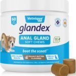 Vetnique Labs Glandex Anal Gland Soft Chew Treats with Pumpkin for Dogs Digestive Enzymes, Probiotics Fiber Supplement for Dogs Boot The Scoot (Peanut Butter Chews, 60 Count)
