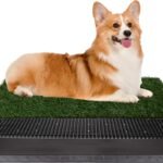 Artificial Grass Puppy Pee Pad for Dogs and Small Pets - 20x25 Reusable 3-Layer Training Potty Pad with Tray - Dog Housebreaking Supplies by PETMAKER