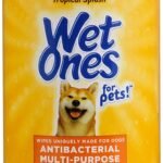 Wet Ones for Pets Multi-Purpose Dog Wipes With Aloe Vera | Dog Wipes For All Dogs in Tropical Splash, Wet Ones Wipes for Paws & All Purpose | 50 Ct Cannister Dog Wipes