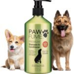 Pawfume Dog Shampoo and Conditioner – Hypoallergenic Dog Shampoo for Smelly Dogs – Best Dog Shampoos & Conditioners – Probiotic Pet Shampoo for Dogs – Best Dog Shampoo for Puppies (Show Dog)