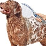 Waterpik Pet Wand Pro Dog Shower Attachment for Fast and Easy Dog Bathing and Cleaning, Indoor and Outdoor Sprayer Includes 8-Foot Flex Hose, Blue/Grey, PPR-252E