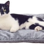 Furhaven ThermaNAP Self-Warming Cat Bed for Indoor Cats & Small Dogs, Washable & Reflects Body Heat - Quilted Faux Fur Reflective Bed Mat - Gray, Small