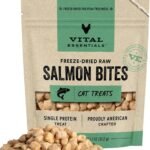 Vital Essentials Freeze Dried Raw Cat Treats, Salmon Bites, 1.1 oz
