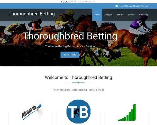 Punter Paradise - Horse Racing Tips