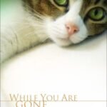 DVD For Cats: While You Are Gone Relaxing Cat Video, Cat Movie for Separation Anxiety