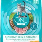 Purina ONE Sensitive Stomach, Sensitive Skin, Natural Dry Cat Food, +Plus Sensitive Skin and Stomach Formula - 22 lb. Bag