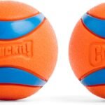 Chuckit! Ultra Ball Dog Toy - Medium Bouncy Fetch Balls For Dogs 20-60 lbs - Made from Durable Rubber - Floating Water Pet Toys - Size Medium - 2.5-inch Diameter - Pack of 2