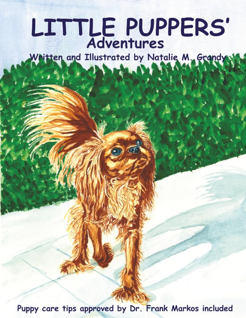 Little Pupper's Adventures: Veterinarian puppy care tips approved by Dr. Frank Markos included